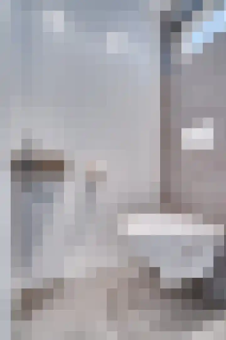 Maasveldstraat 22 Lomm thumbnail 4