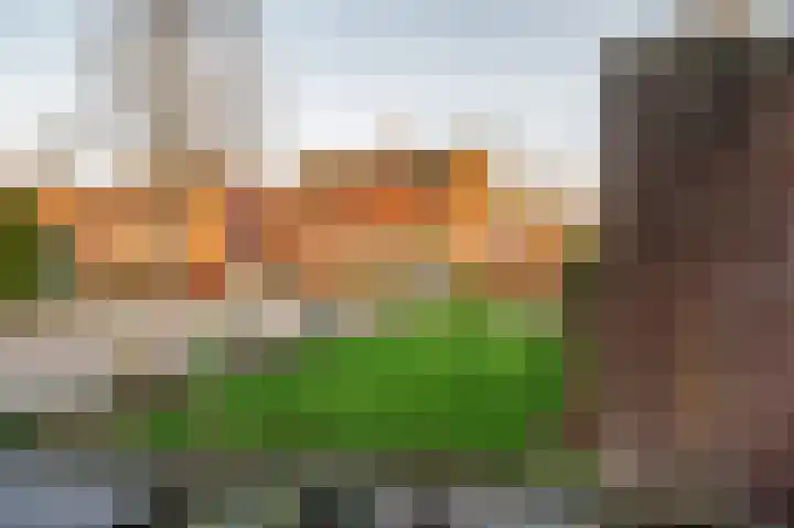 Maasveldstraat 22 Lomm thumbnail 43
