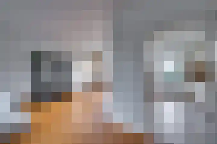 Maasveldstraat 22 Lomm thumbnail 8