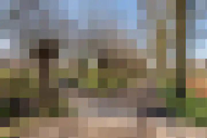 Maasweg 20 Culemborg thumbnail 59