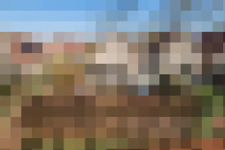 Maasweg 20 Culemborg thumbnail 61