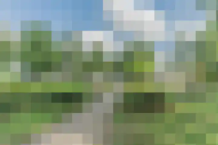 Maasweg 28 Culemborg thumbnail 4