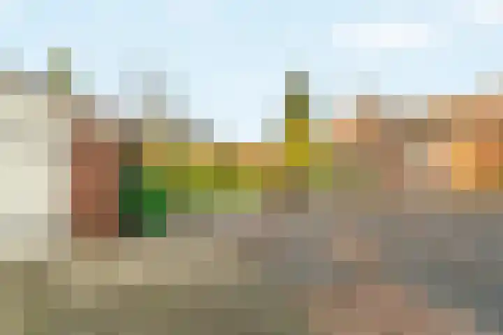 Maasweg 43 Gennep thumbnail 22