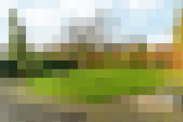 Maasweg 43 Gennep thumbnail 24