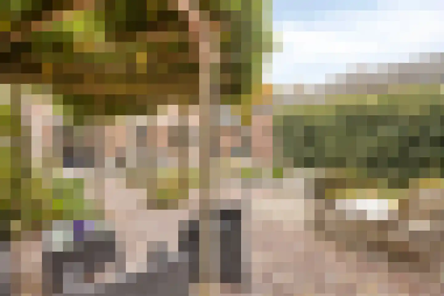 Maasweg 47 a Gennep thumbnail 36