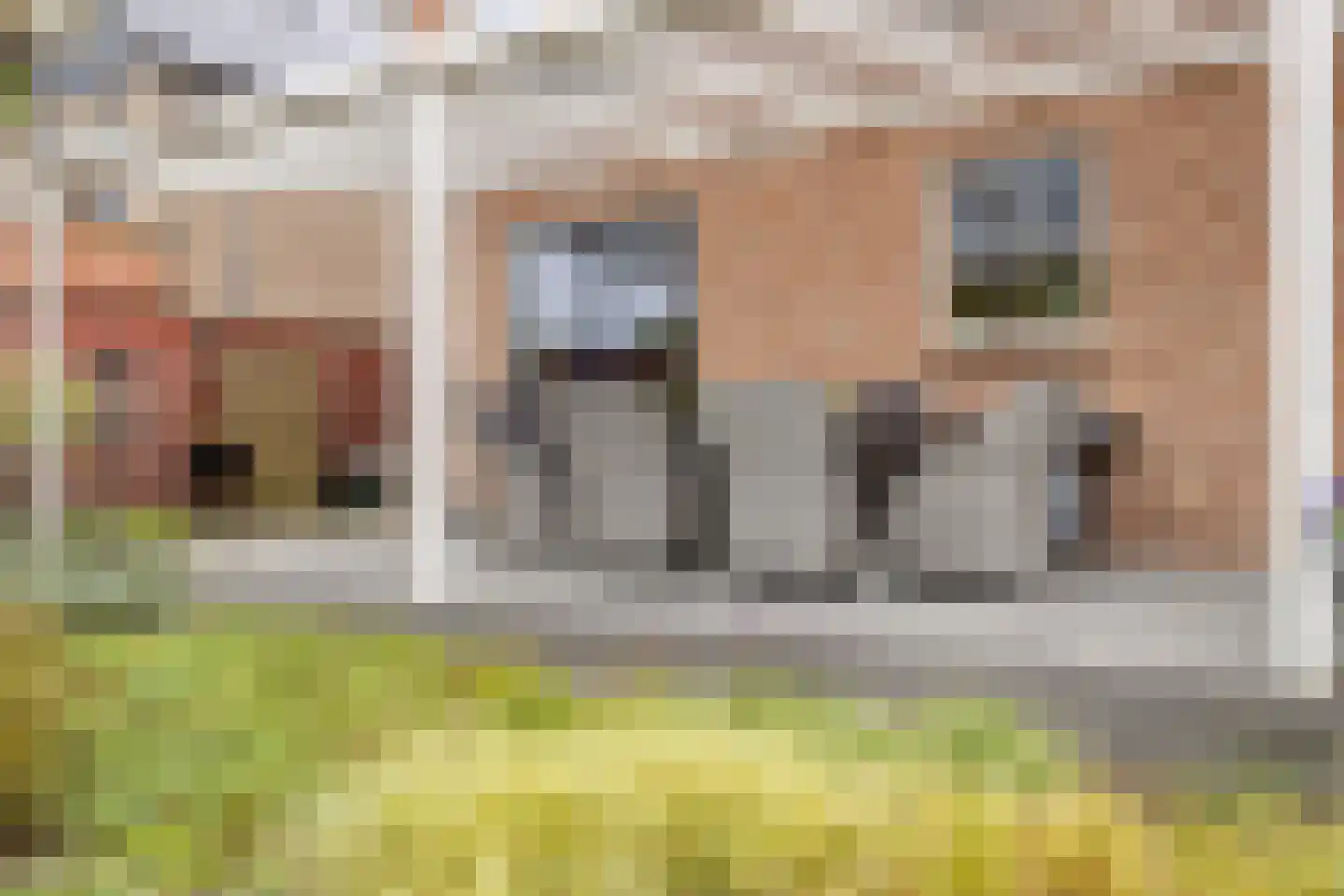 Maasweg 47 a Gennep thumbnail 38