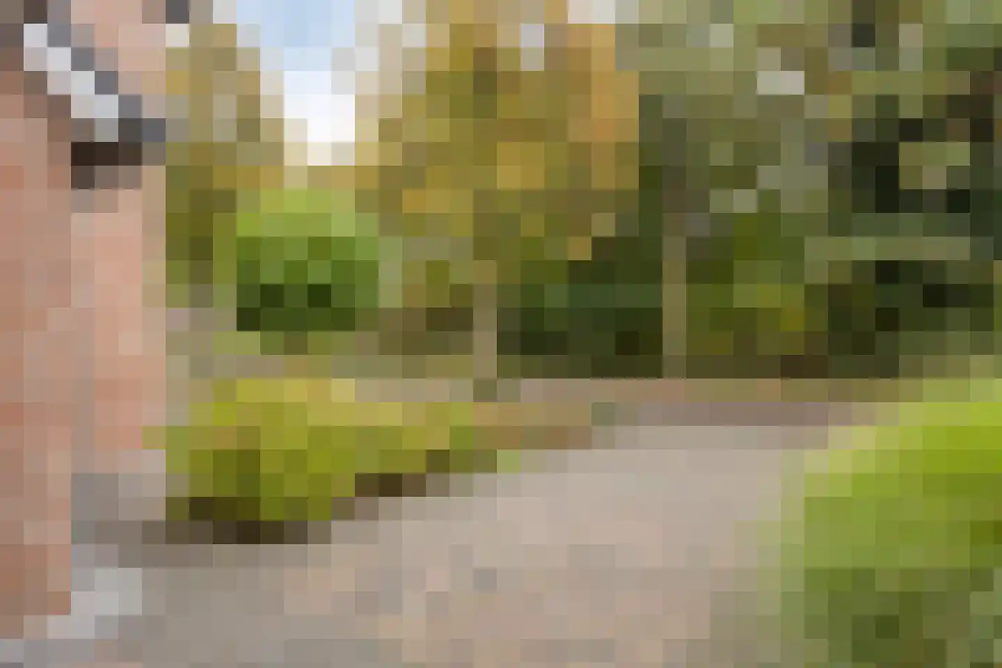 Maasweg 47 a Gennep thumbnail 42