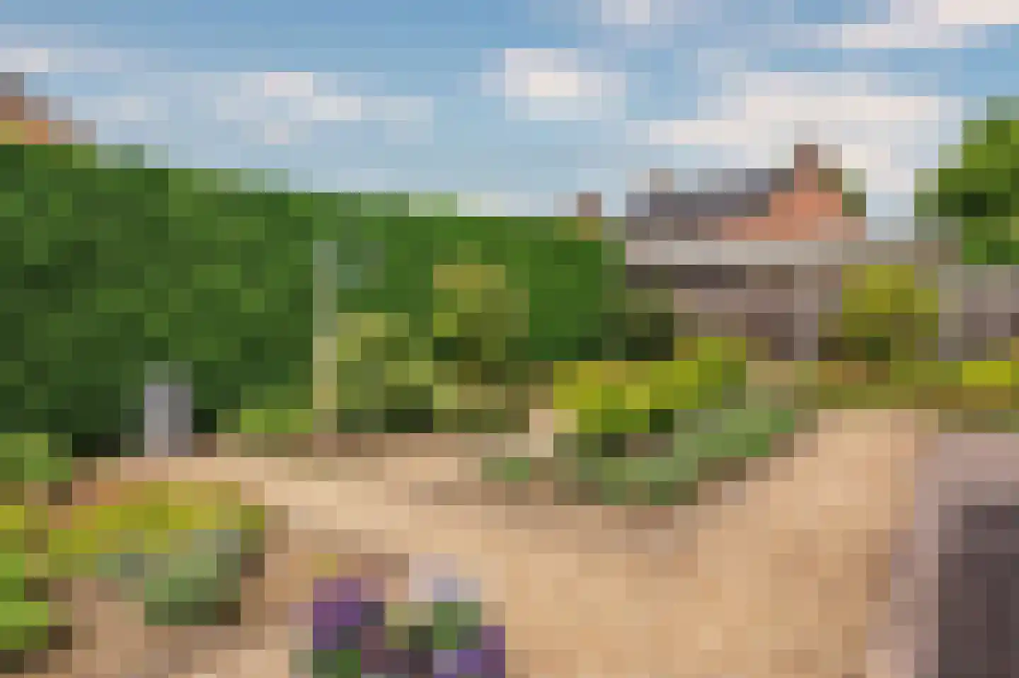 Maasweg-West 4 Neer thumbnail 39