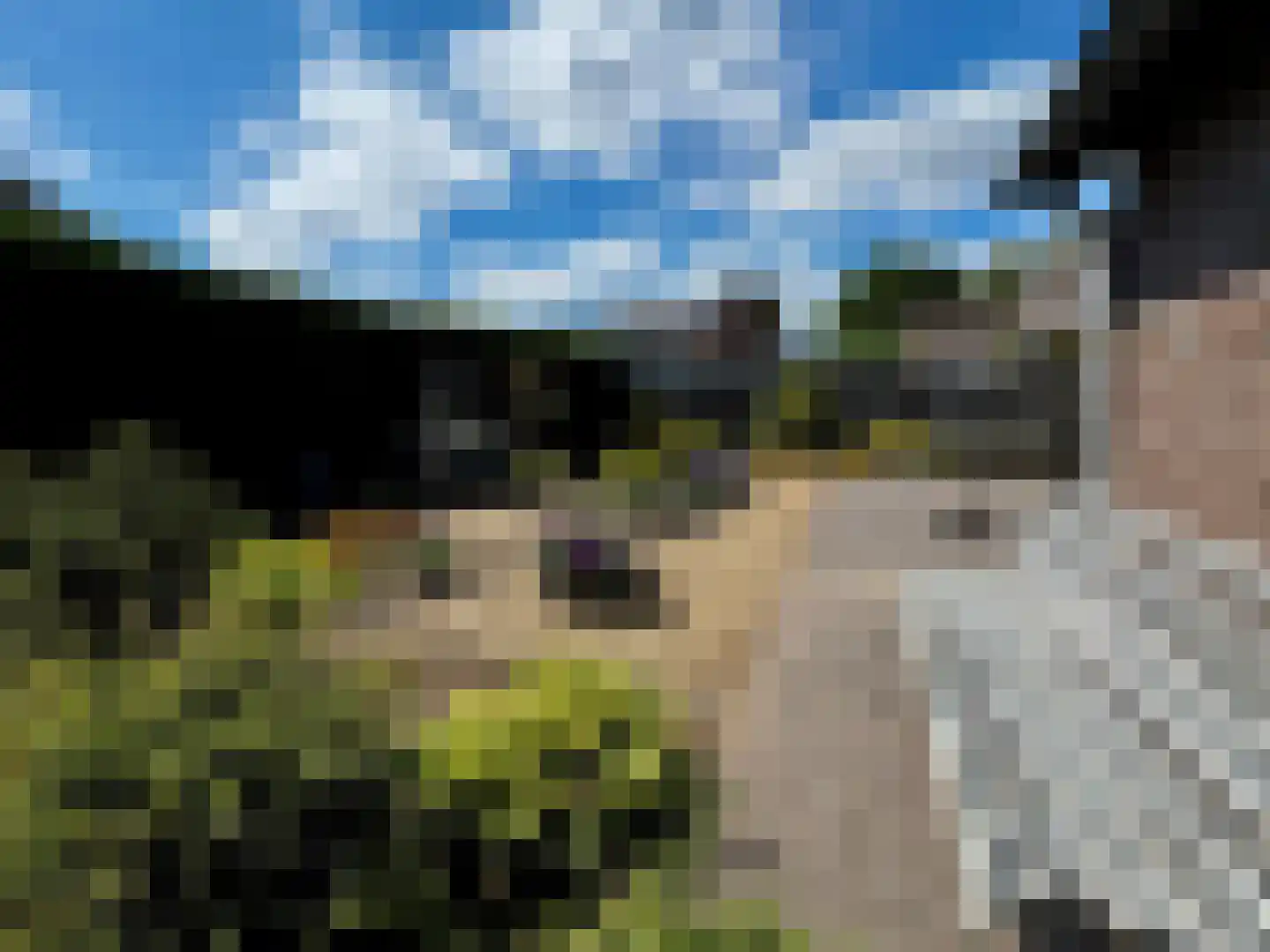 Maasweg-West 4 Neer thumbnail 40