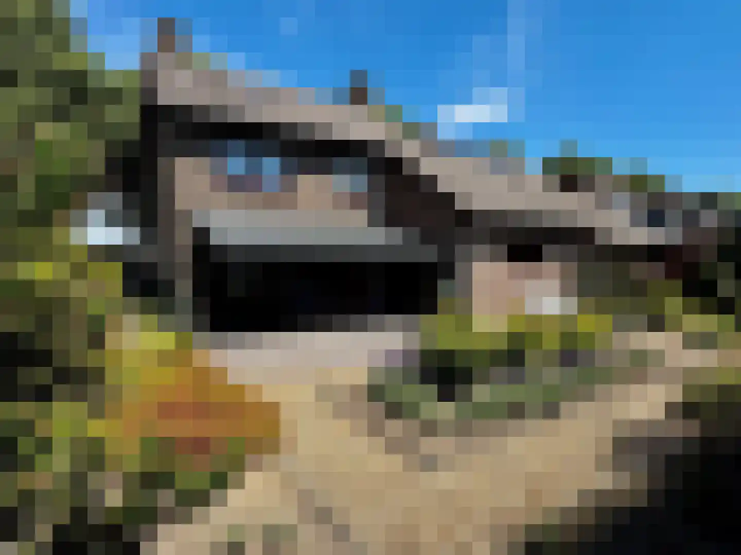 Maasweg-West 4 Neer thumbnail 41