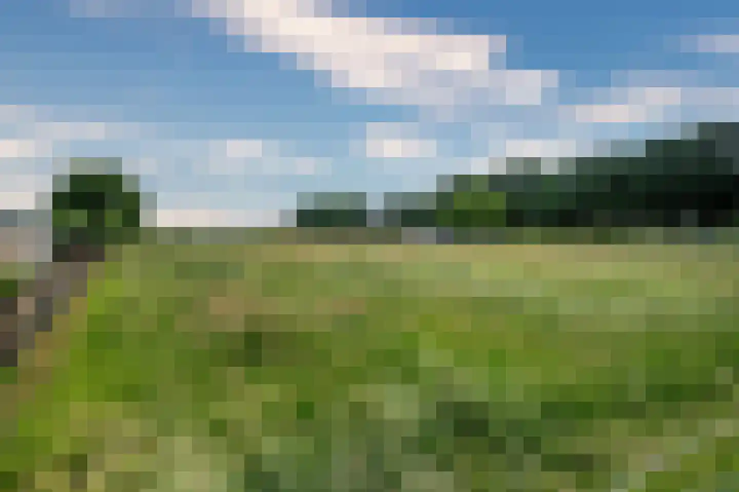 Maasweg-West 4 Neer thumbnail 50
