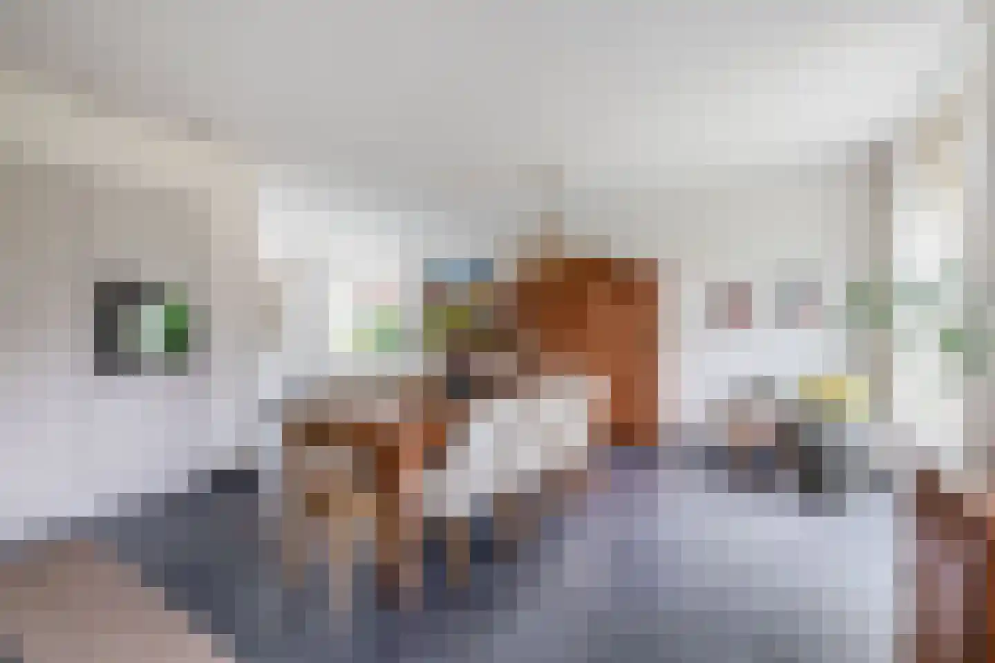 Maaszicht 12 Lomm thumbnail 10