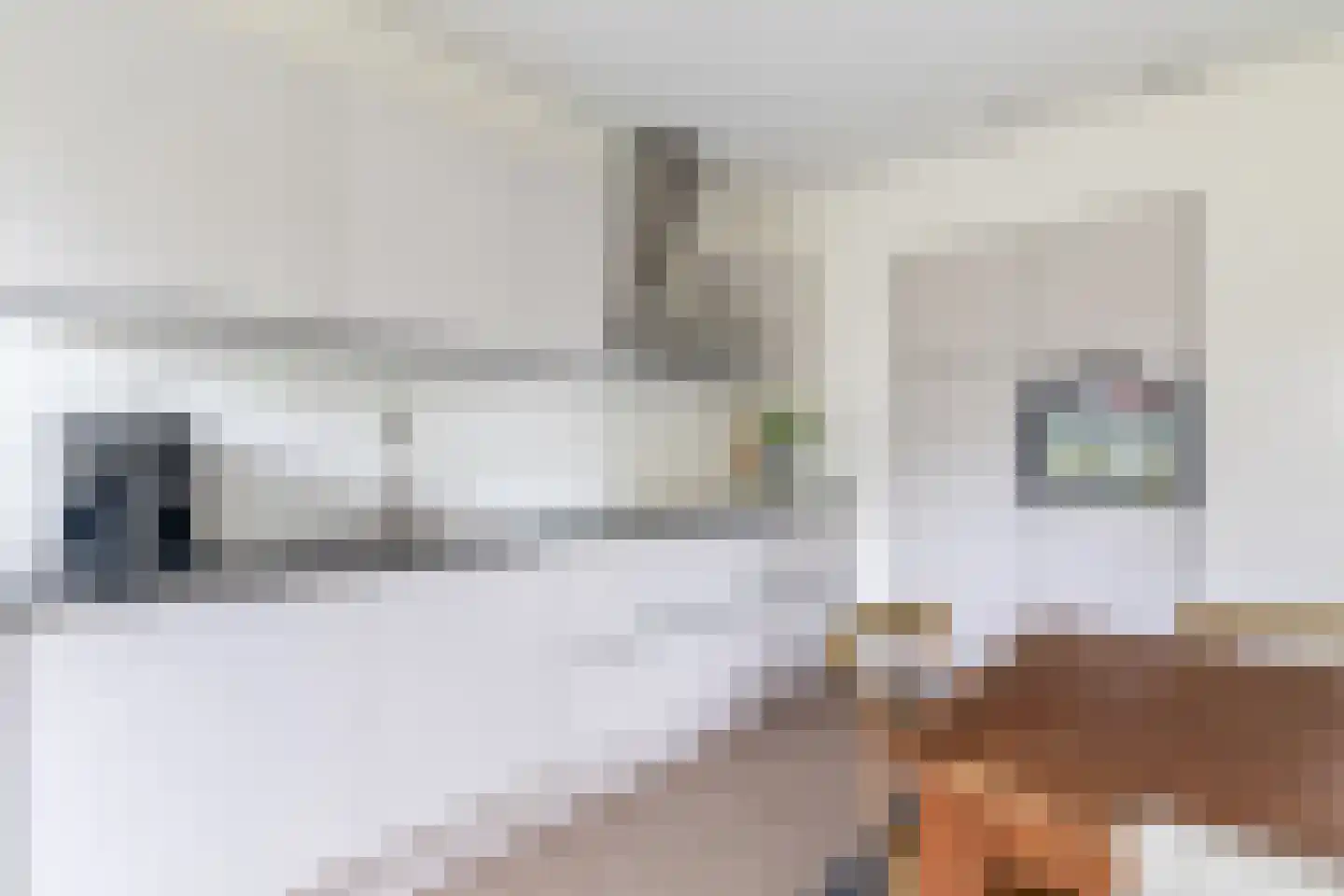 Maaszicht 12 Lomm thumbnail 11