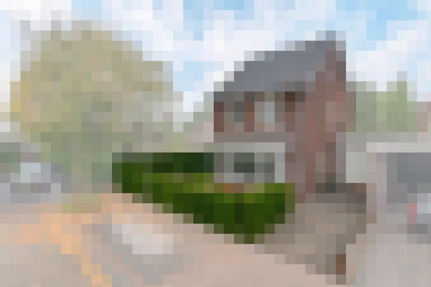 Maaszicht 12 Lomm foto 2