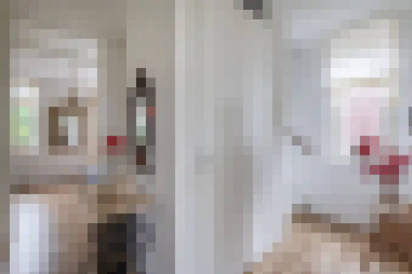 Maaszicht 12 Lomm thumbnail 22