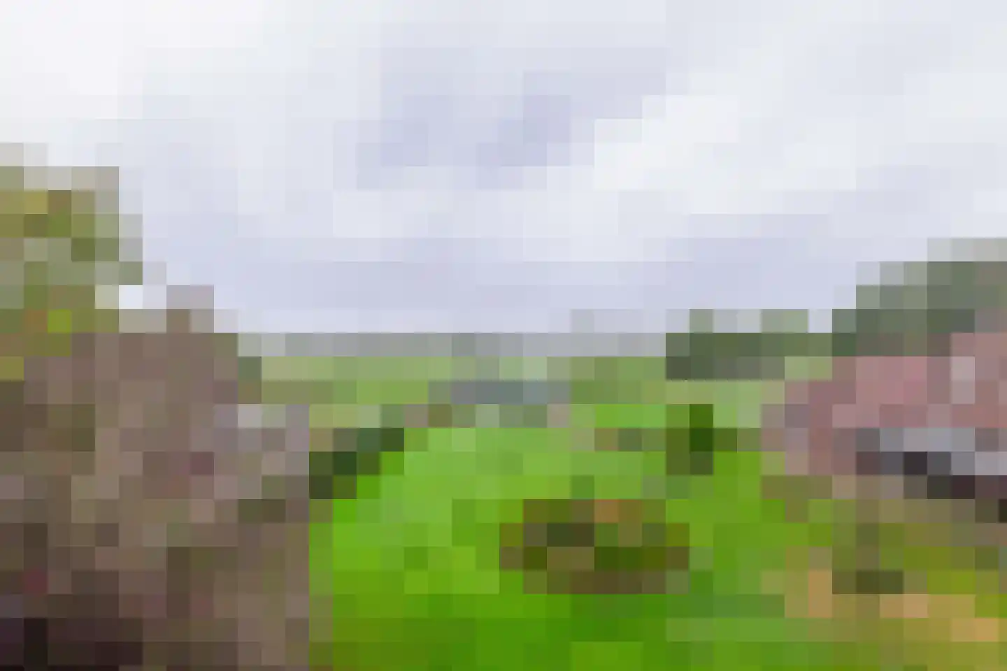Maaszicht 12 Lomm thumbnail 25