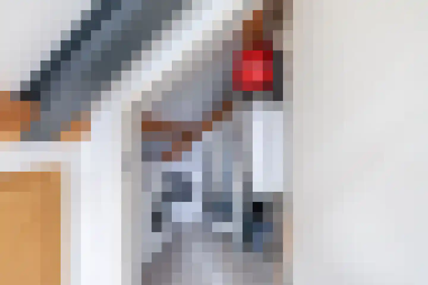 Maaszicht 12 Lomm thumbnail 26