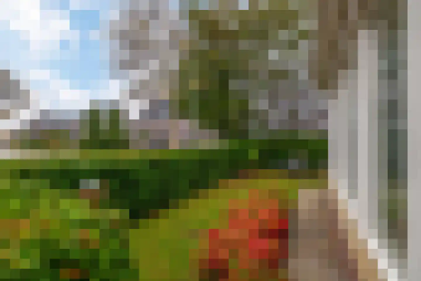 Maaszicht 12 Lomm thumbnail 32