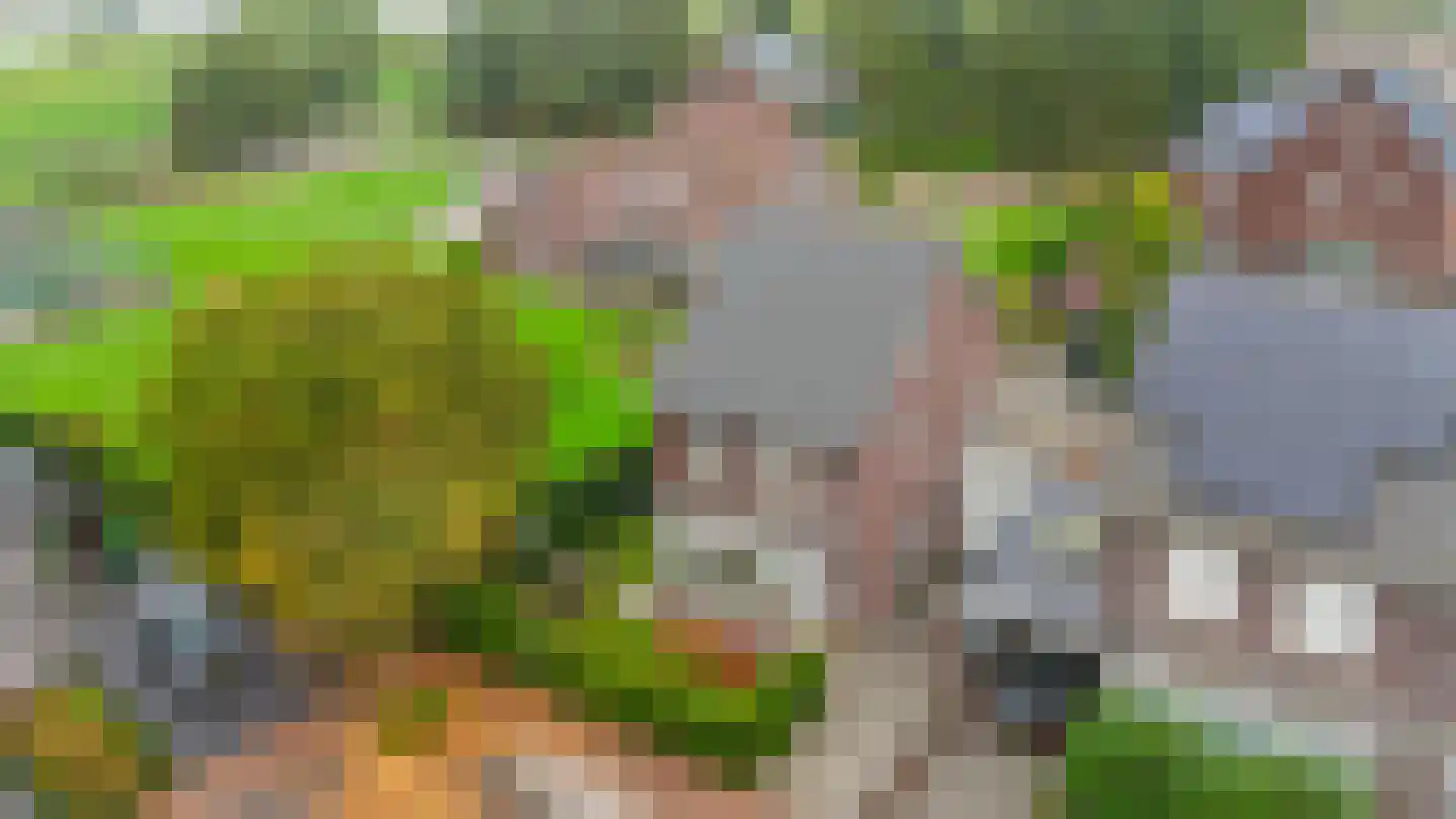 Maaszicht 12 Lomm thumbnail 33