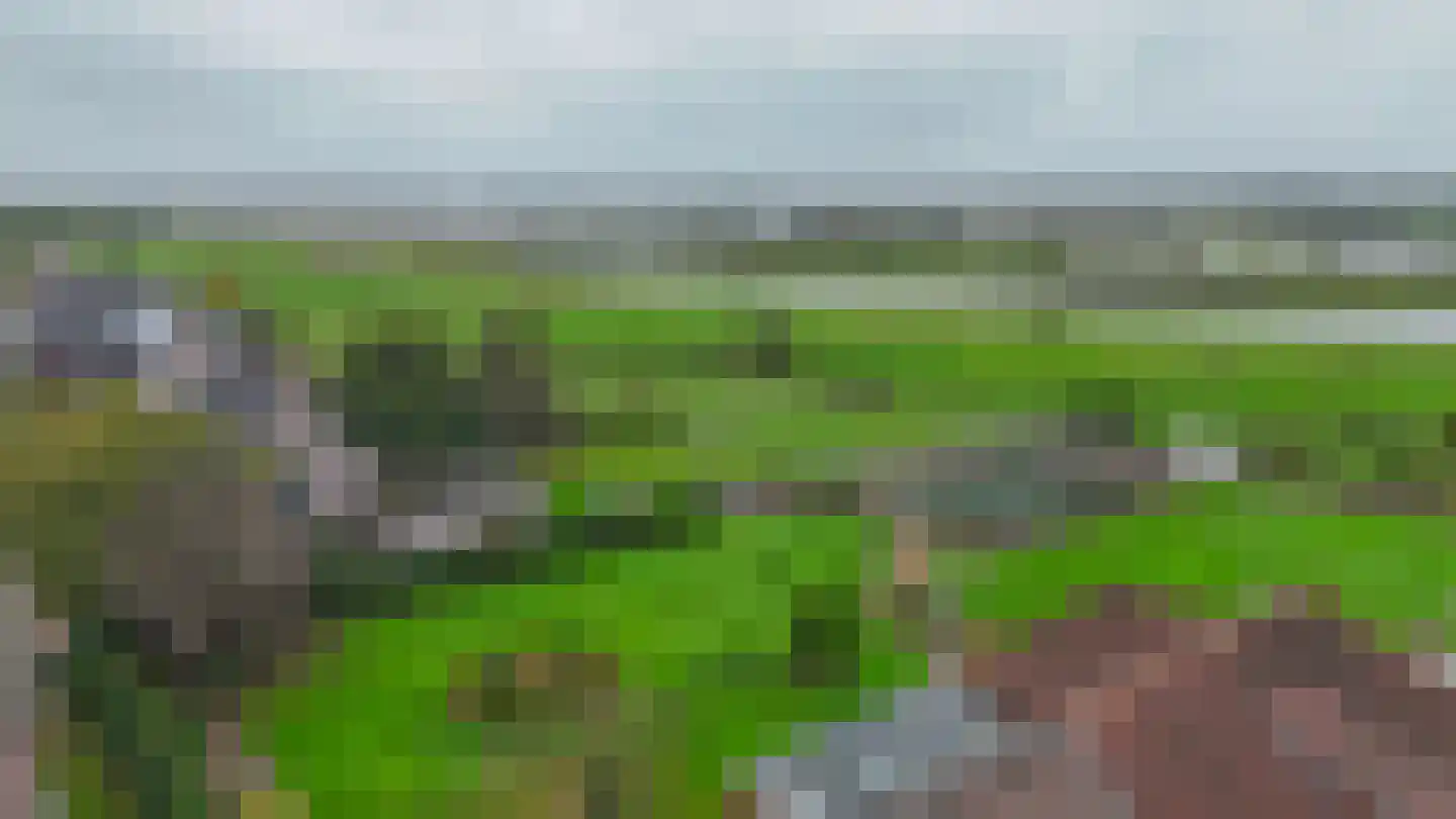 Maaszicht 12 Lomm thumbnail 34