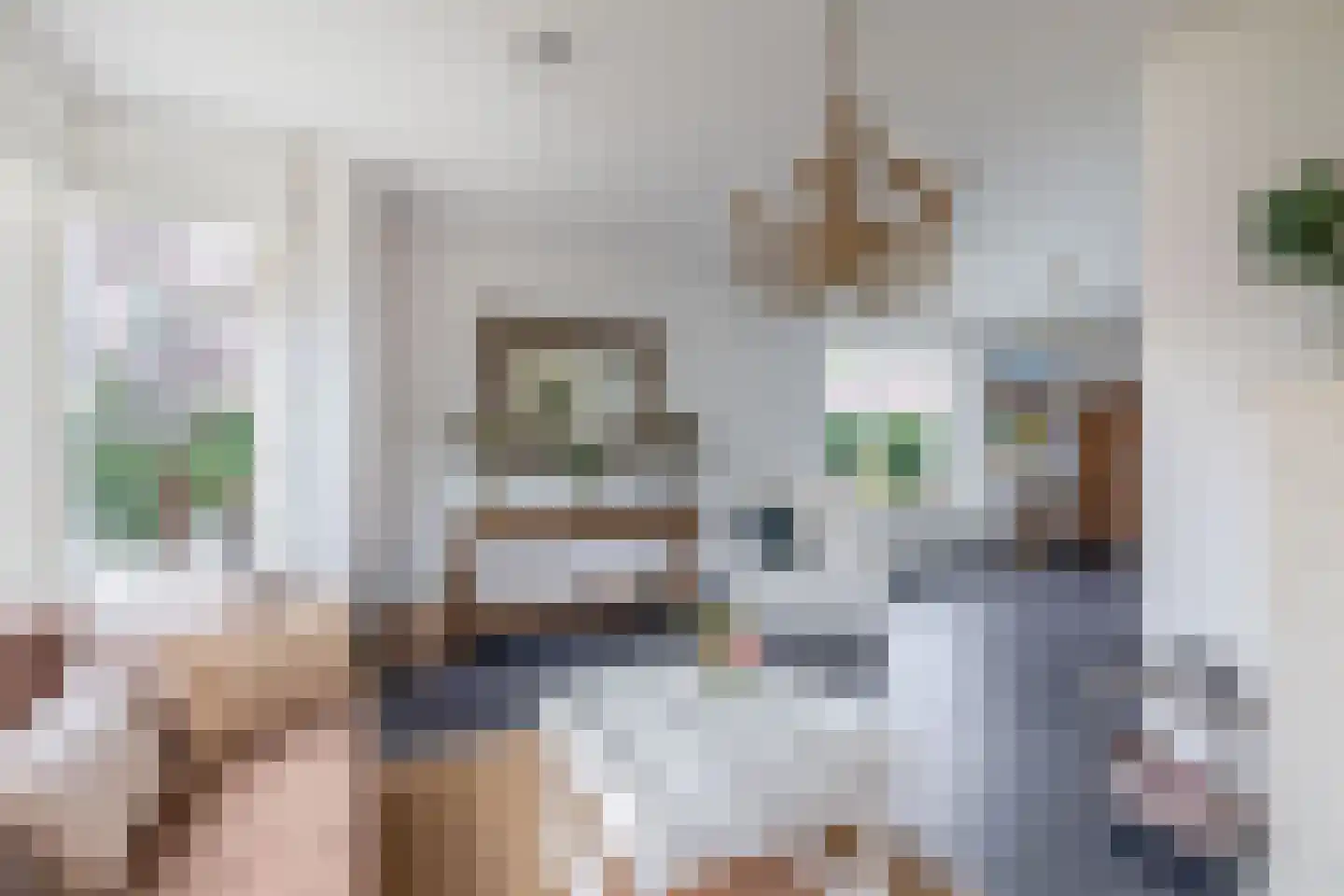 Maaszicht 12 Lomm thumbnail 7