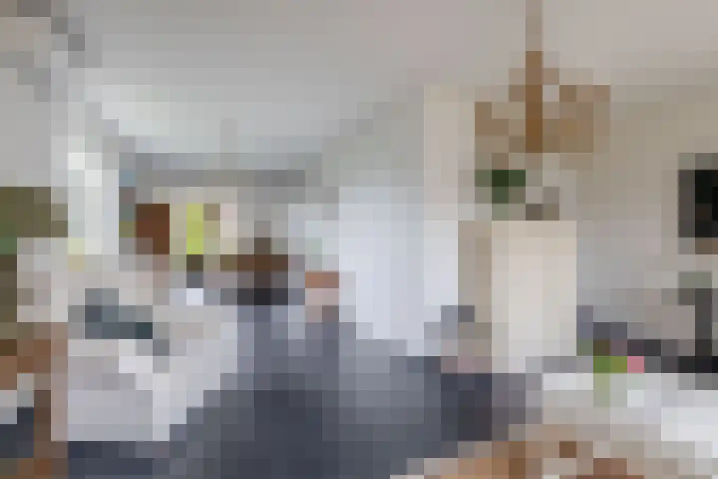 Maaszicht 12 Lomm thumbnail 8