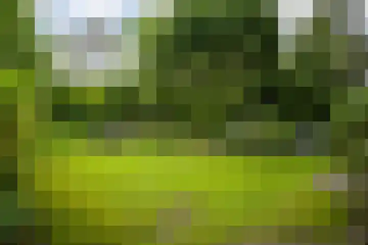 Maaszicht 2 Beegden thumbnail 22