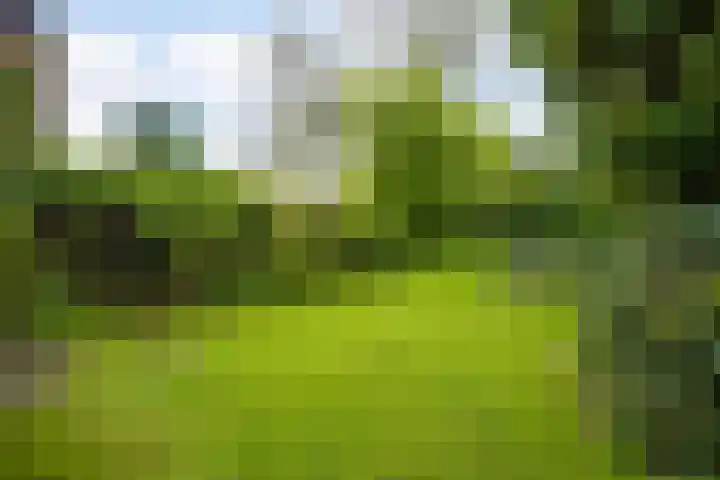 Maaszicht 2 Beegden thumbnail 23