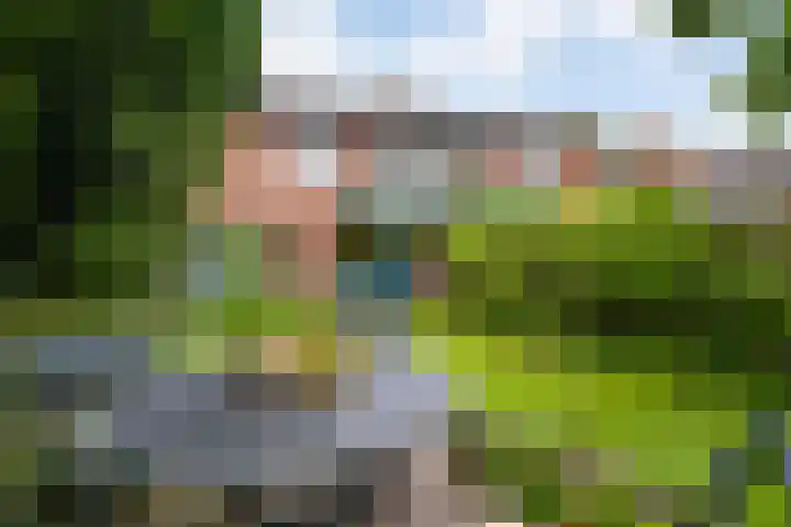 Maaszicht 2 Beegden thumbnail 24