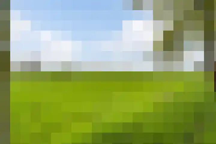 Maaszicht 2 Beegden thumbnail 25