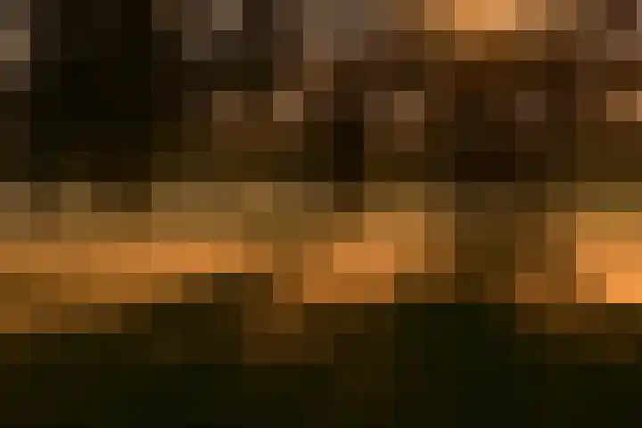 Maaszicht 2 Beegden thumbnail 26