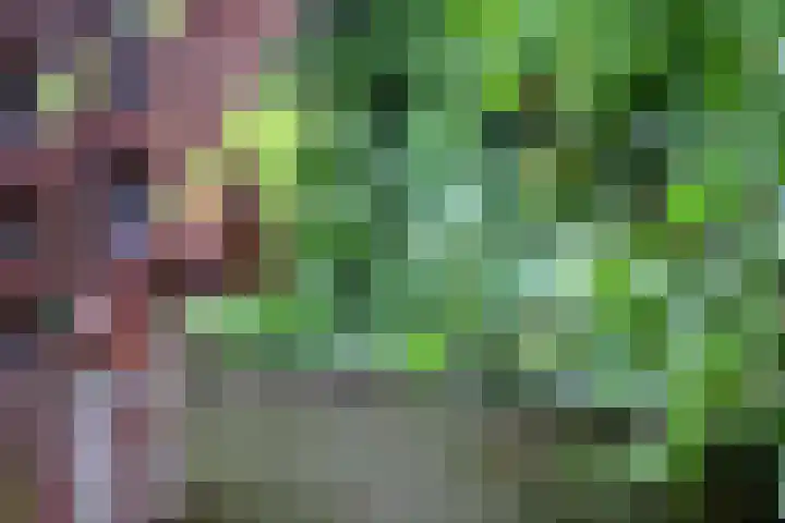 Maaszicht 2 Beegden thumbnail 27