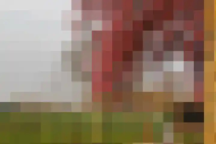 Maaszicht 2 Beegden thumbnail 28