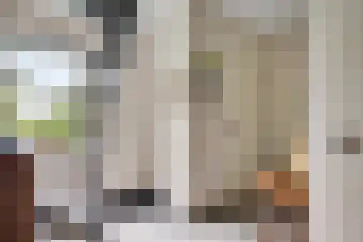 Maaszicht 2 Beegden thumbnail 5