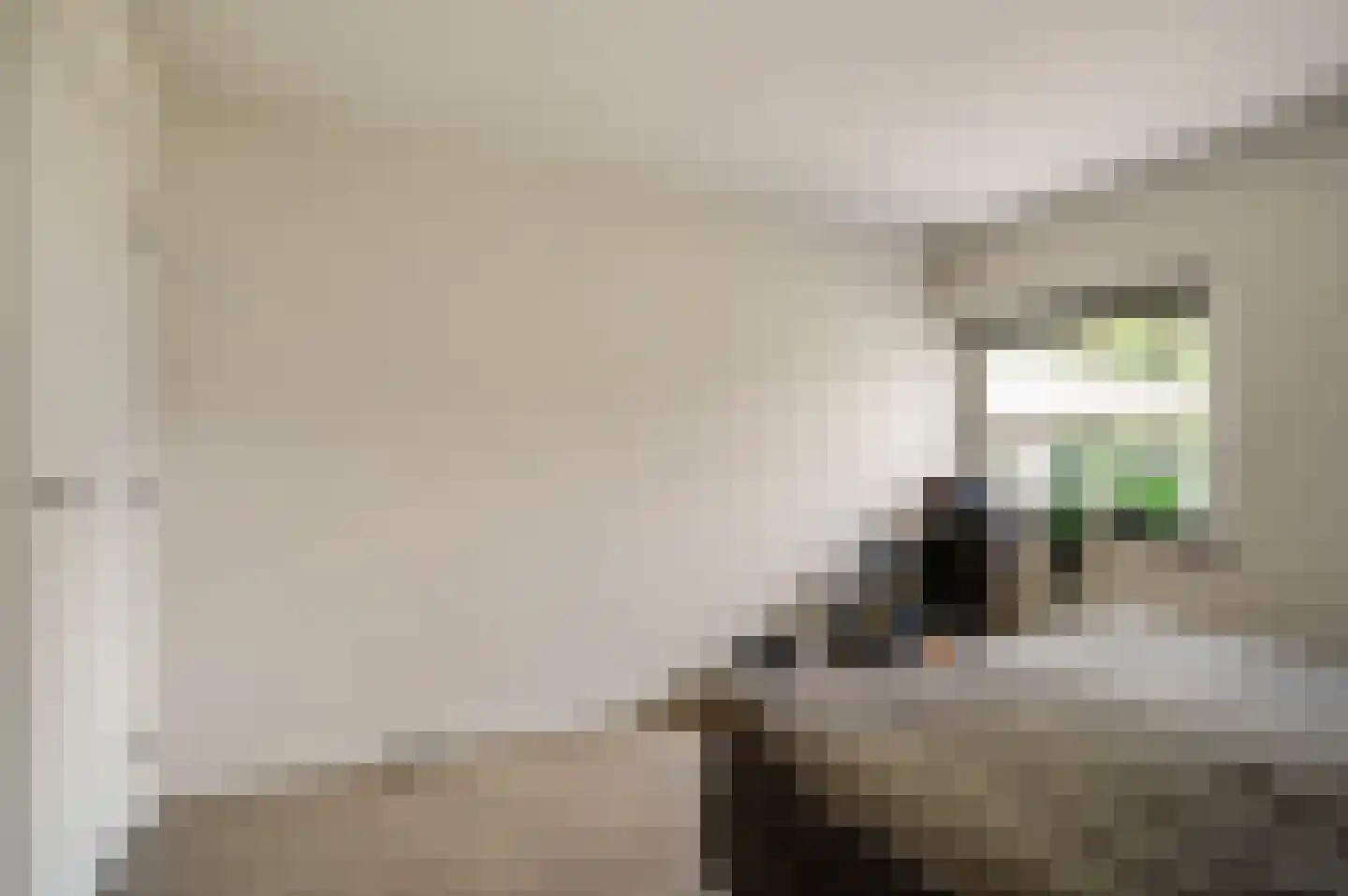 Maaszicht 2 Neer thumbnail 22