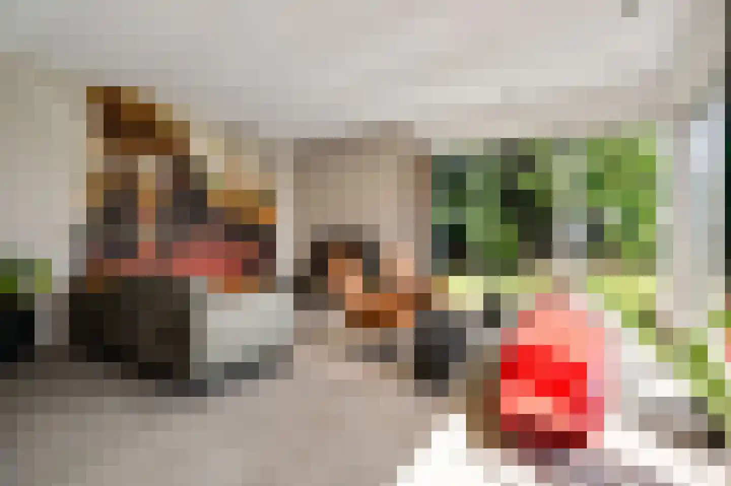 Maaszicht 2 Neer thumbnail 33