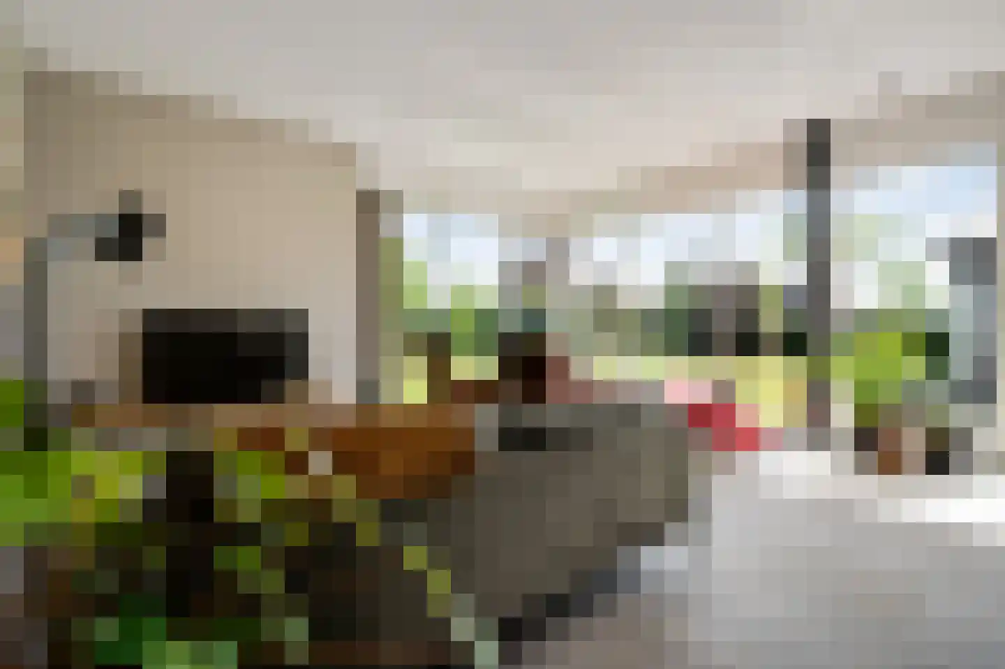 Maaszicht 2 Neer thumbnail 34
