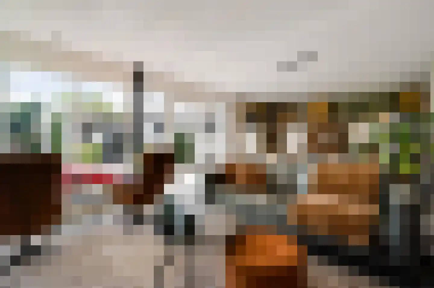 Maaszicht 2 Neer thumbnail 35