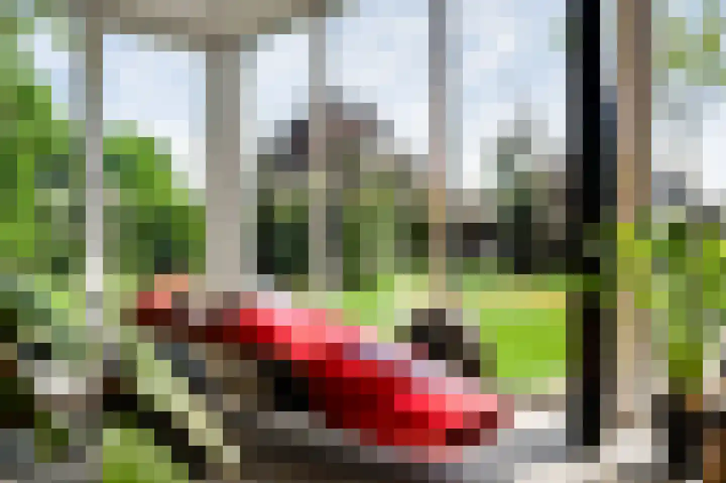 Maaszicht 2 Neer thumbnail 37