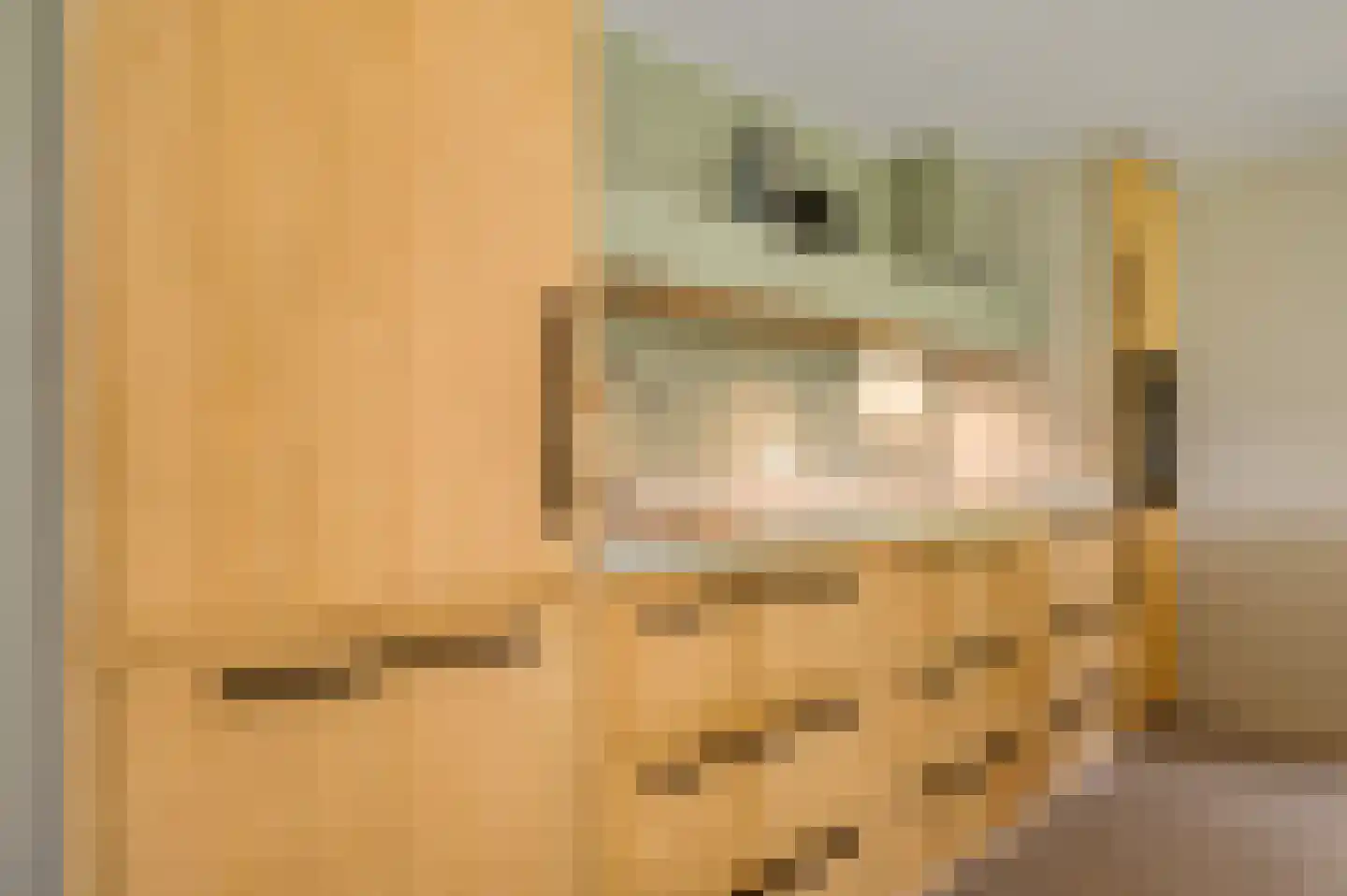 Maaszicht 2 Neer thumbnail 42