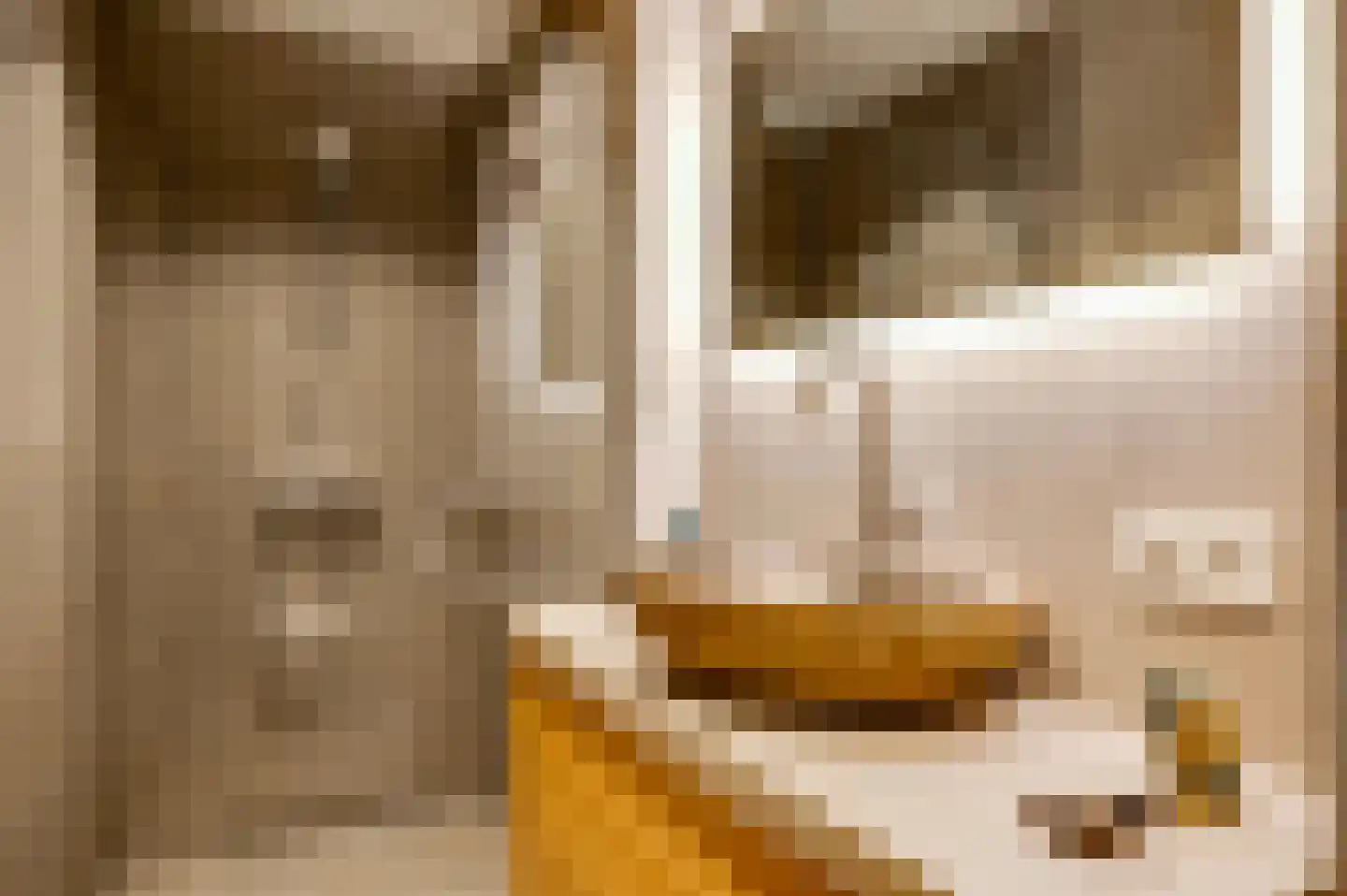 Maaszicht 2 Neer thumbnail 48