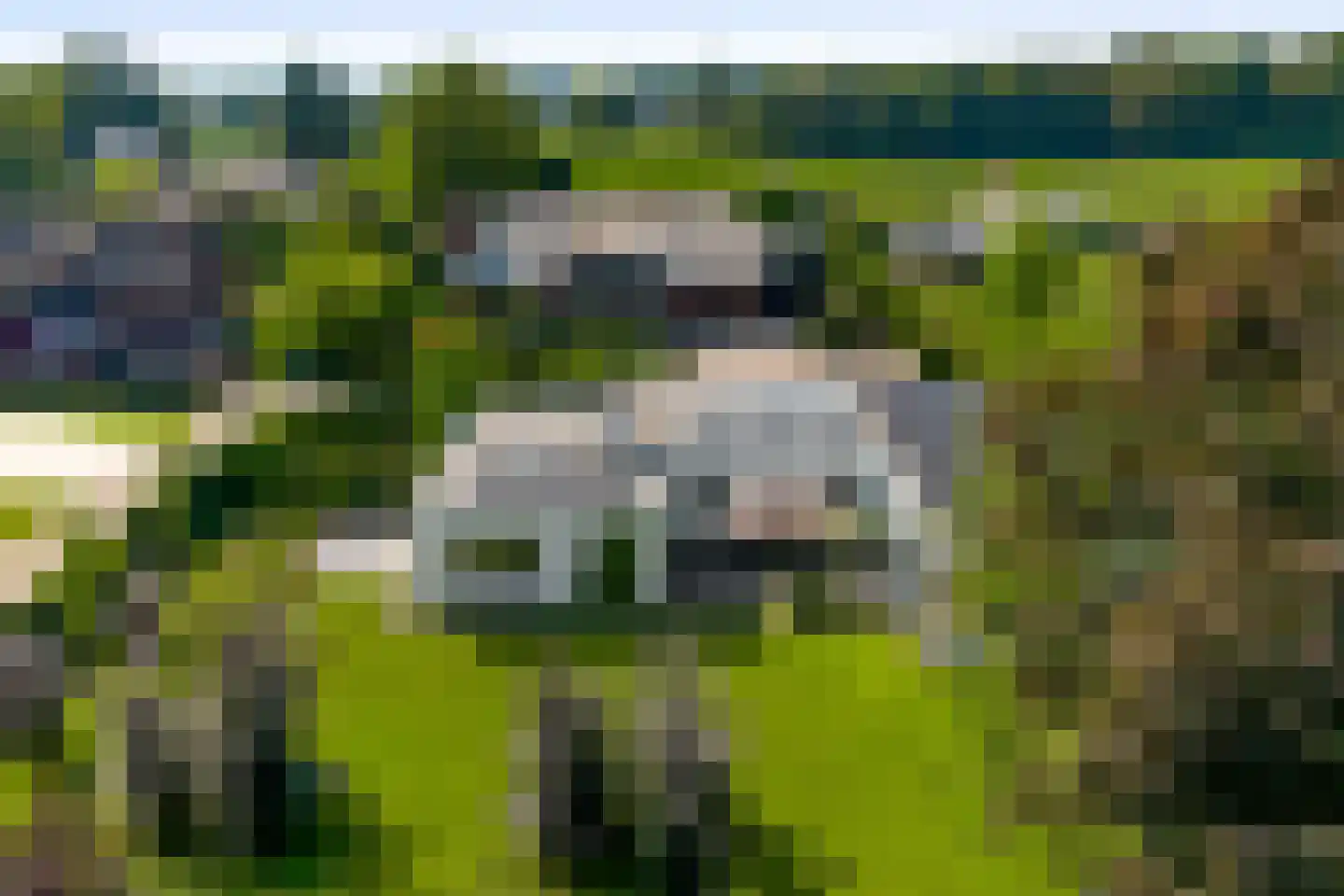 Maaszicht 2 Neer thumbnail 5