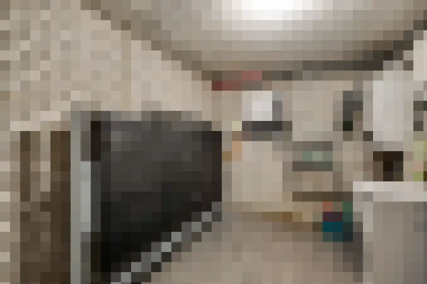 Maaszicht 2 Neer thumbnail 53