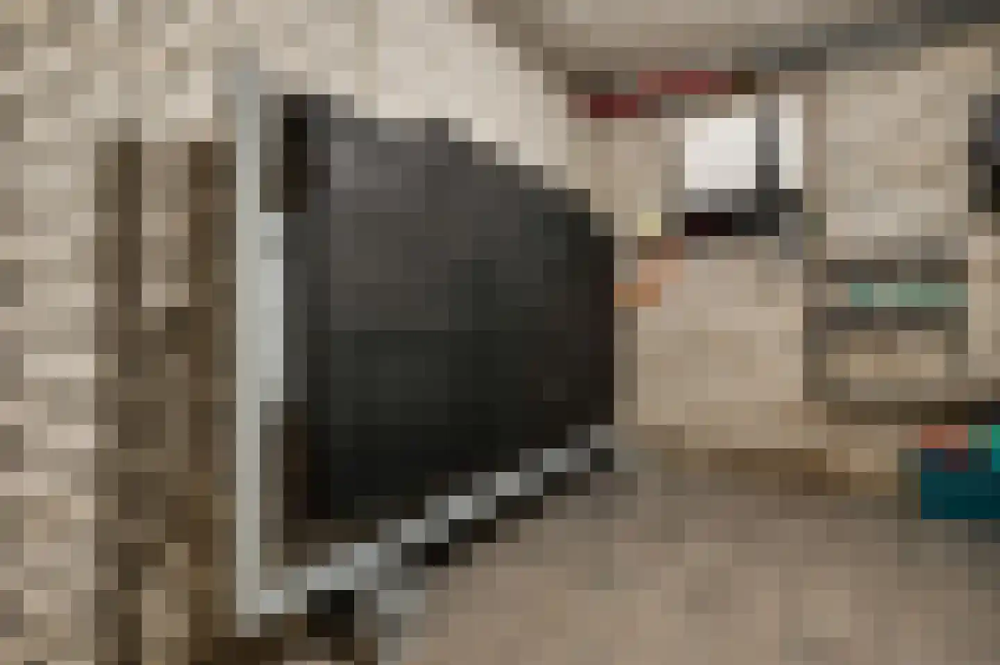 Maaszicht 2 Neer thumbnail 54