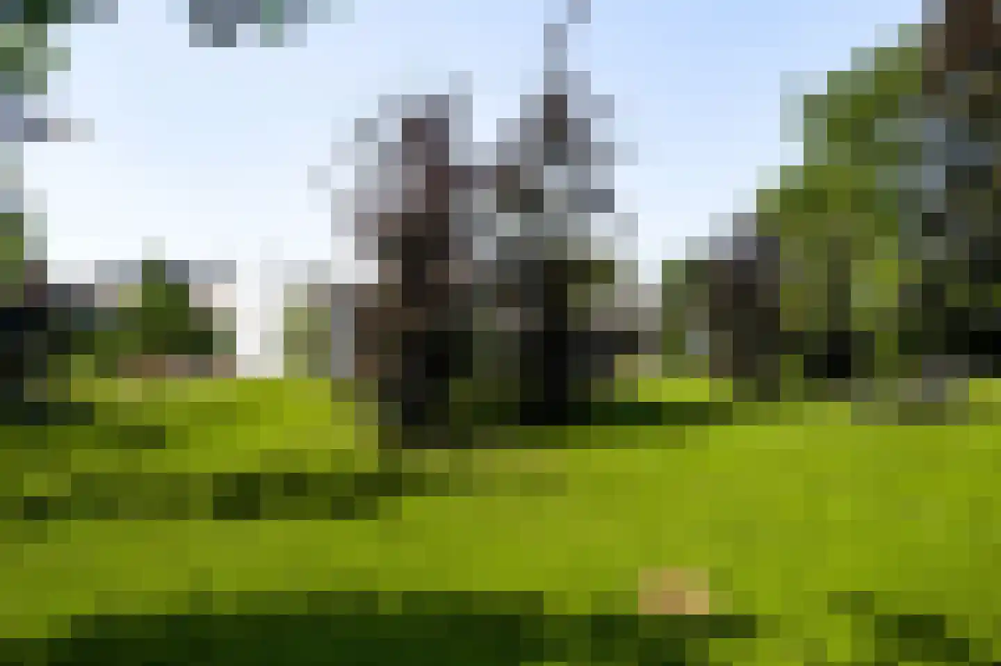 Maaszicht 2 Neer thumbnail 58