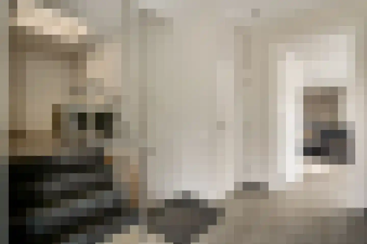 Maaszicht 2 Neer thumbnail 6