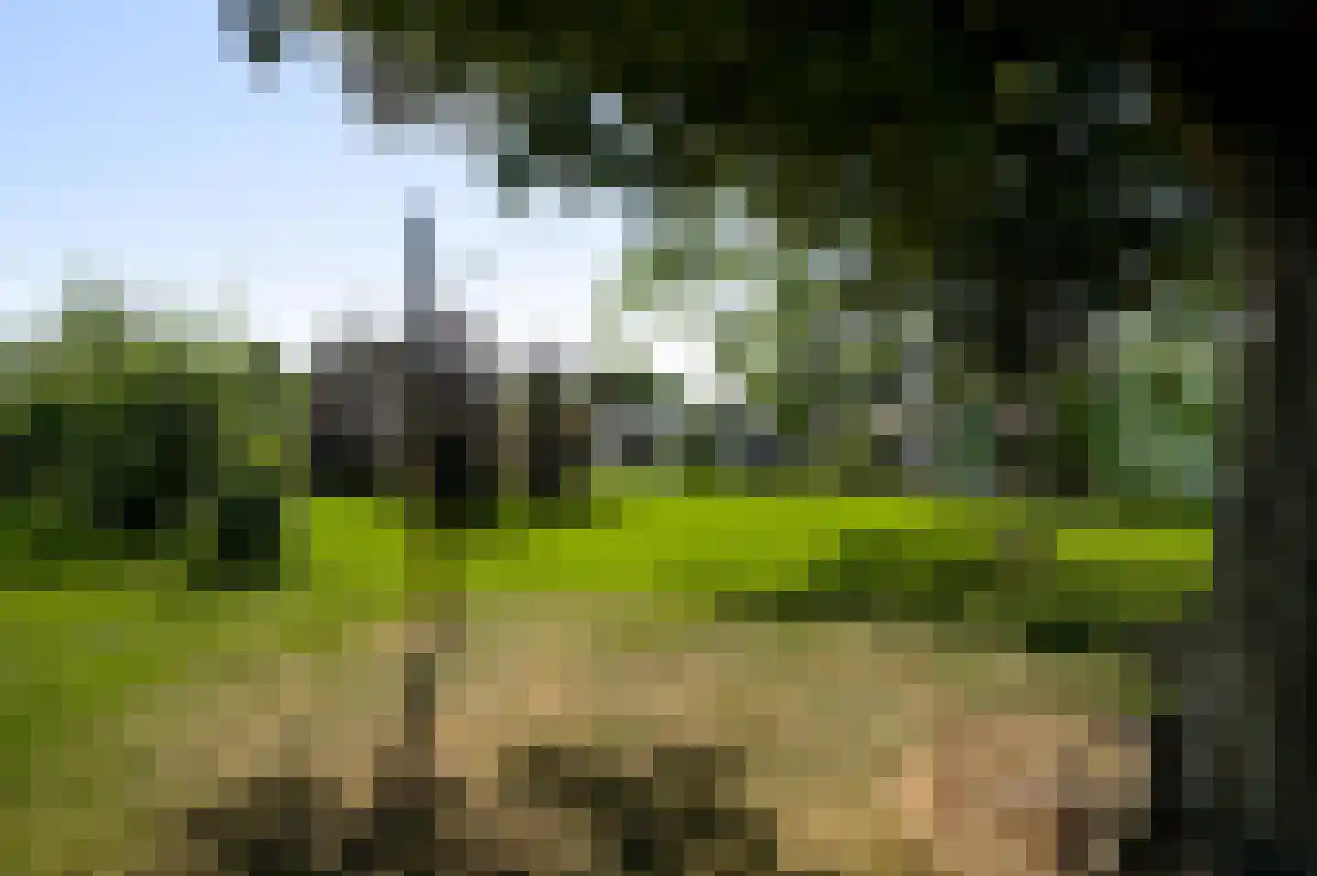 Maaszicht 2 Neer thumbnail 61