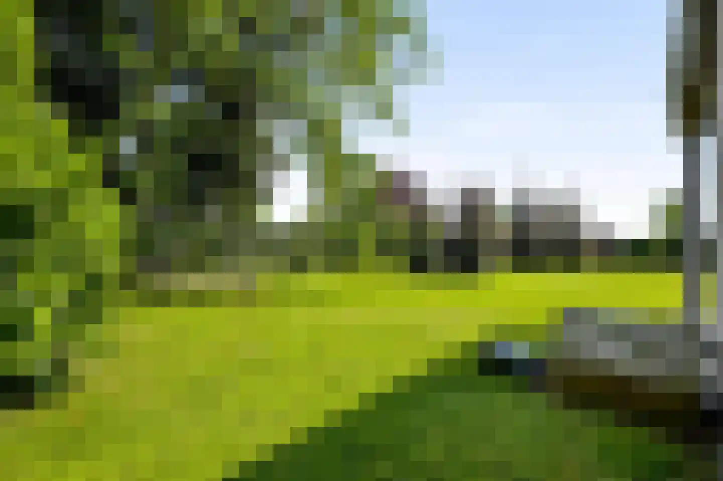 Maaszicht 2 Neer thumbnail 63