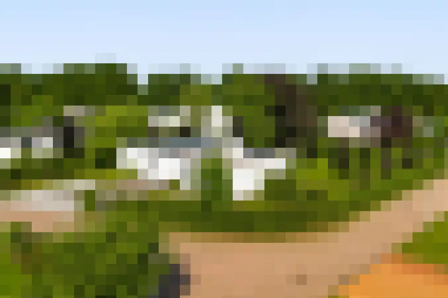 Maaszicht 2 Neer thumbnail 78