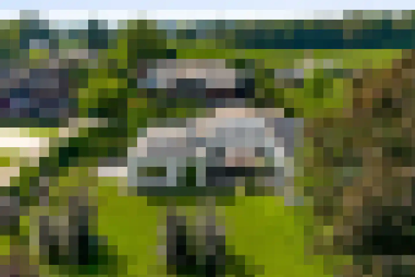 Maaszicht 2 Neer thumbnail 80